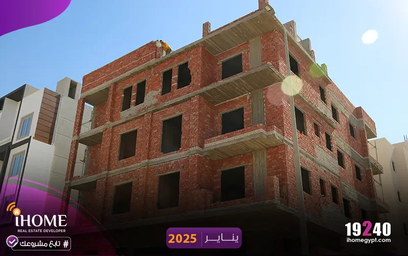 G293-النرجس-يناير-2025-الطوب-الاحمر-1-