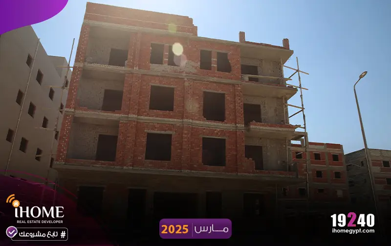 G293-النرجس مارس 2025  الطوب الاحمر 
